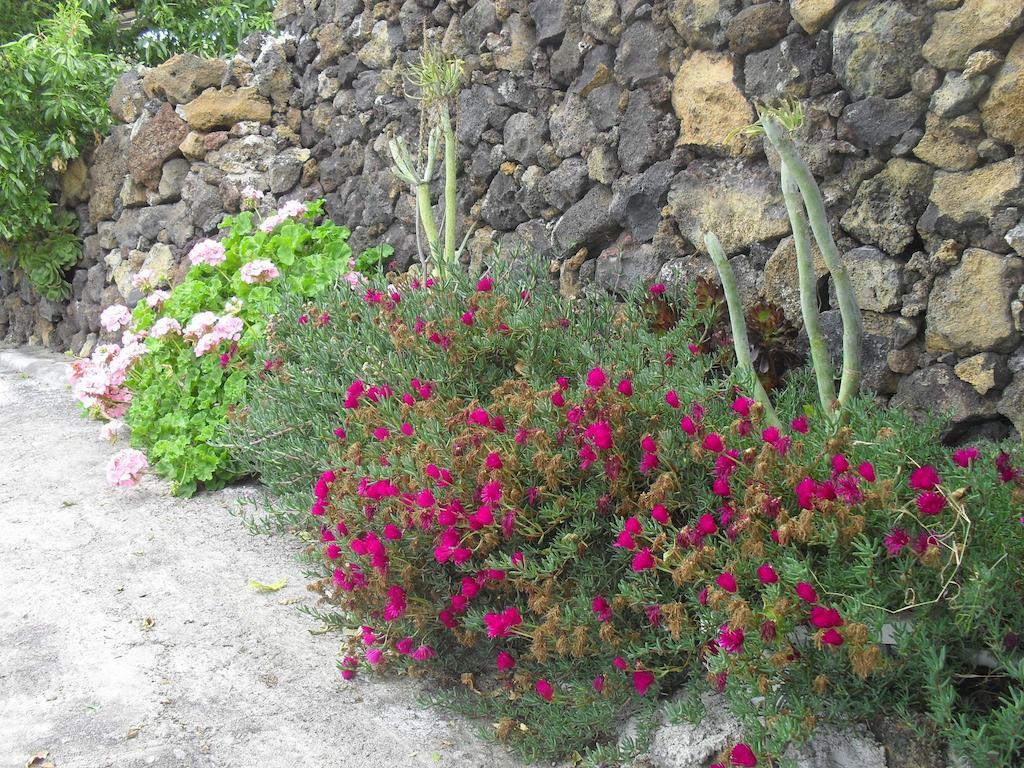 Casa Rural Abuelo Pancho Las Casas  Екстериор снимка
